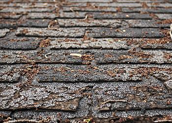 RB Roofing Images